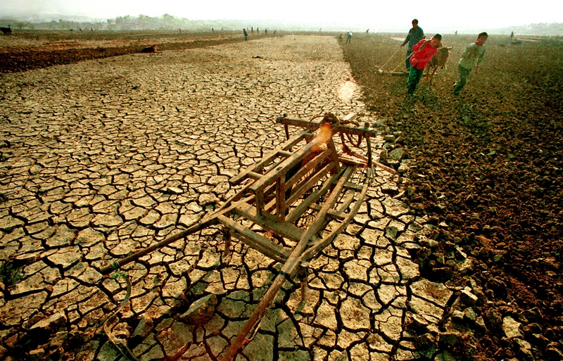 4������?f��n)��?991��10�����R������������(y��n)�ظɺ����ڄڵ��υ^(q��)���񲻵Ȳ�����