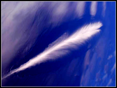 ����Ե���