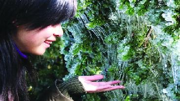 ��Ҋ����