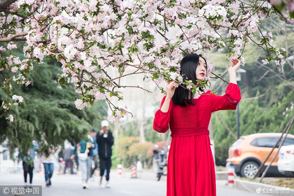 ��(j��)��һ��У��(n��i)���ջ�������  �������v�����p����