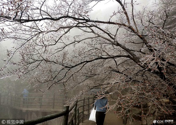 �R����ɽ�F(xi��n)�����±���