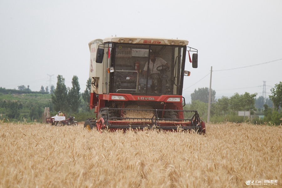 �����ϼZ�}����?zh��n)����?d��ng)�r