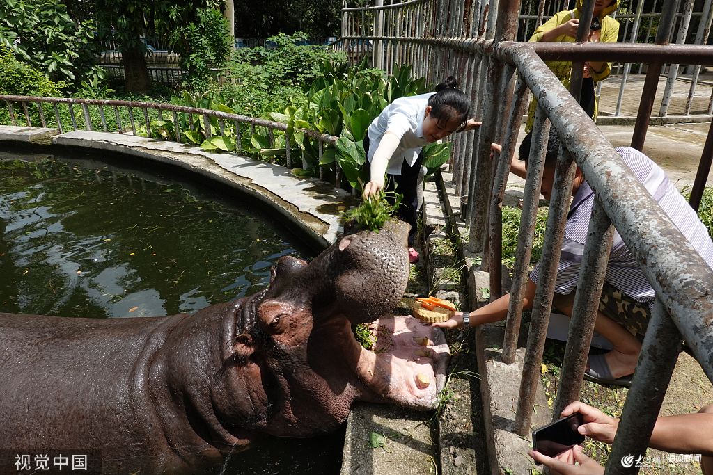 �ό����������������^�e�ӡ����﹝(ji��)��