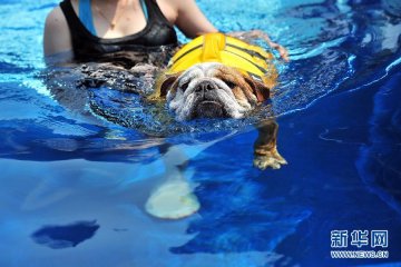 ̽�L�¼����׼Ҍ�����A�Ƶ�