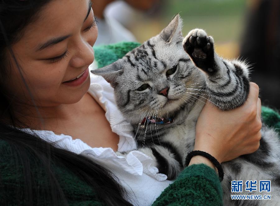 10��5�գ�һֻ����؈���^�������к�����