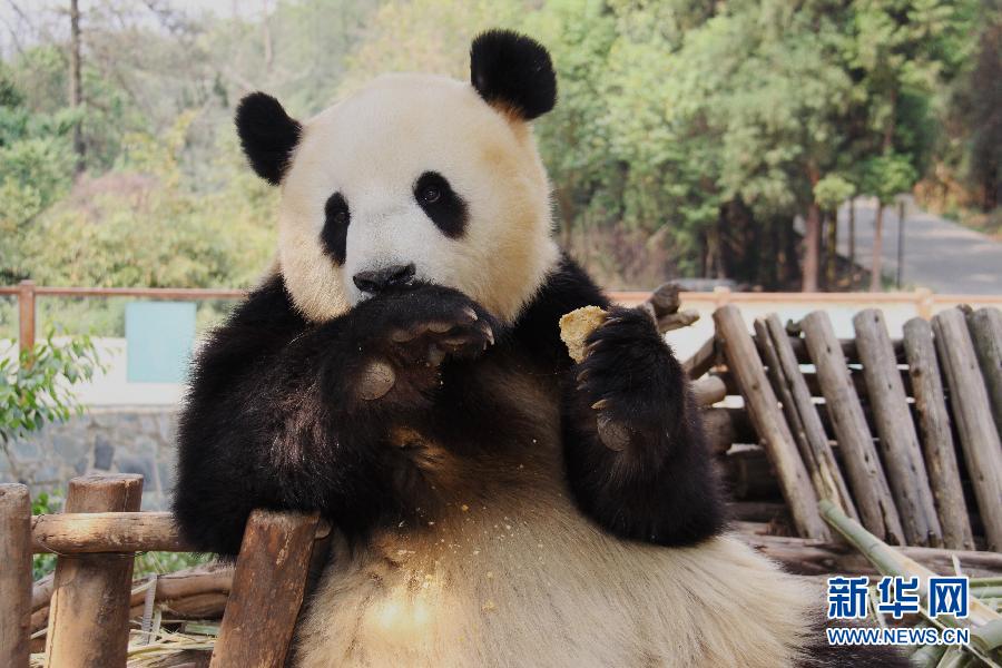 ����؈˼�λ֏�(f��)����؛����ɫ