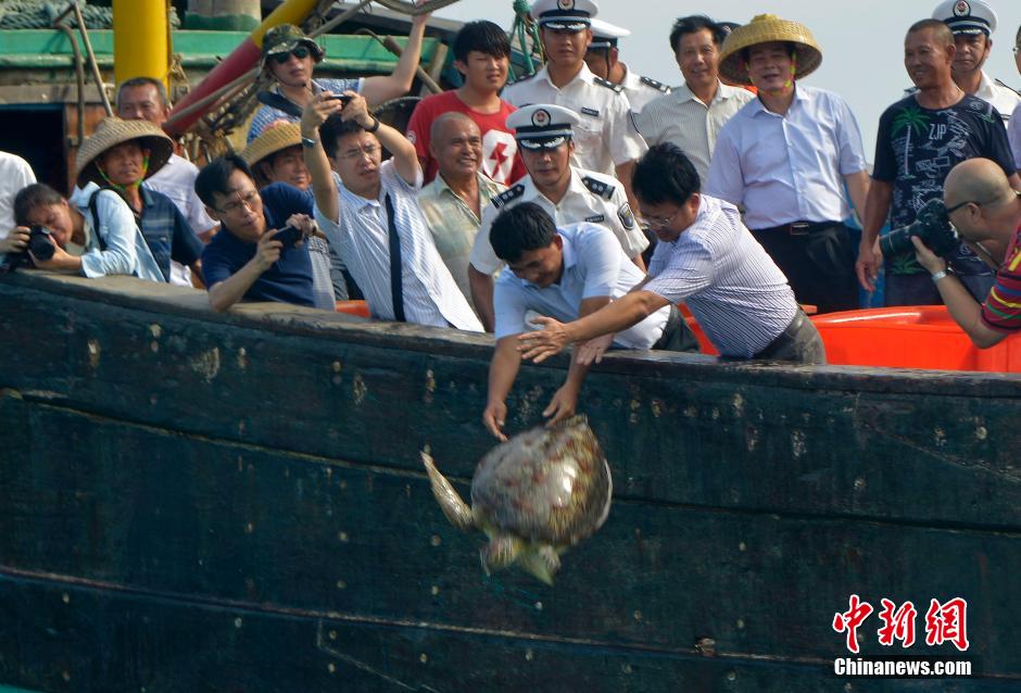 5��9��������ʡ������̶�T��(gu��)�Ҽ�(j��)���ĝO���e�С����o(h��)�������B(t��i)�����˅��c�o(h��)�{(l��n)�����(d��ng)����(d��ng)�xʽ��������20��ֻ������