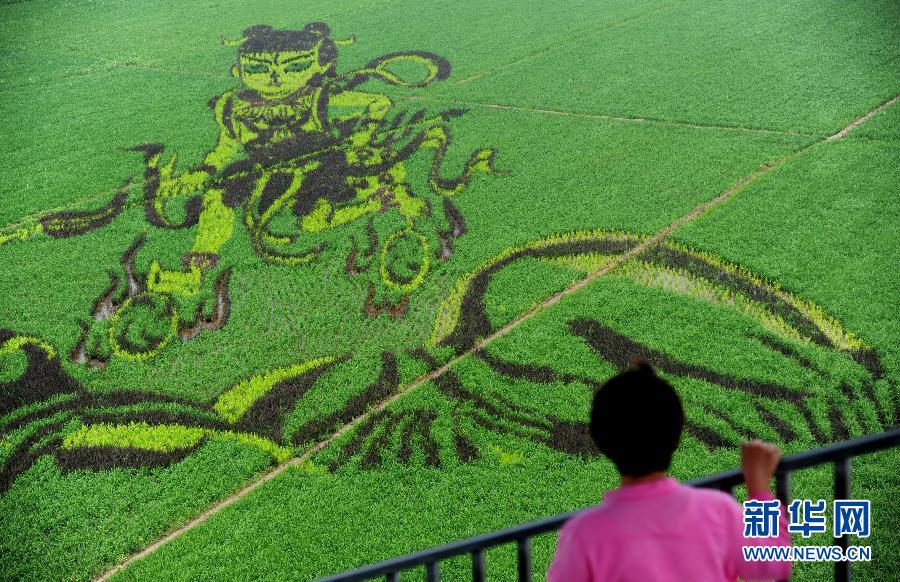 7��1�գ�һλ���^�������p���顶��߸�[�����ľ��͵��ﮋ��