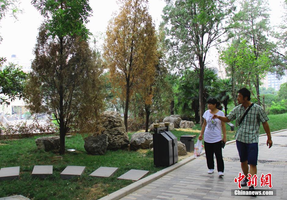 �M�ܹ����ˆTÿ��o�ذ���ľ�Ͳ��ˮ���o����ֲ������ꎾW(w��ng)�������ڸɺ���(y��n)�������в���ֲ�����F(xi��n)�����F(xi��n)�������m(x��)�ɺ���(d��o)�������o(h��)�Ǻӹ��@���֘�ľ�ɿݡ����Ʒ��z����